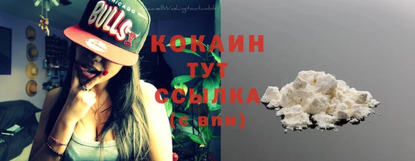 винт Ладушкин