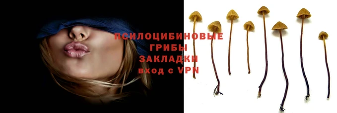 винт Арсеньев